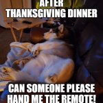lazy husky | AFTER THANKSGIVING DINNER; CAN SOMEONE PLEASE HAND ME THE REMOTE! | image tagged in husky husky,full,fat,chubby,lazy | made w/ Imgflip meme maker