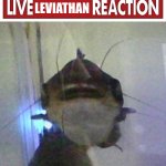 live leviathan reaction