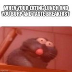 Ratatouille Triggered Remy | WHEN YOUR EATING LUNCH AND YOU BURP AND TASTE BREAKFAST | image tagged in ratatouille triggered remy | made w/ Imgflip meme maker