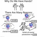 there are no other reasons | ROSIE; ROSIE; ROSIE; ROSIE | image tagged in why do we have hands | made w/ Imgflip meme maker
