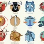 ig zodiac sign