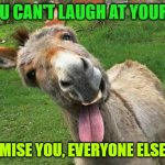 Laughing Donkey | IF YOU CAN'T LAUGH AT YOURSELF; I PROMISE YOU, EVERYONE ELSE WILL | image tagged in laughing donkey | made w/ Imgflip meme maker
