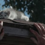 Cats VS. Zombies | image tagged in gifs,cool | made w/ Imgflip video-to-gif maker