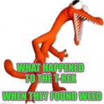 Orange | WHAT HAPPENED TO THE T-REX; WHEN THEY FOUND WEED | image tagged in orange | made w/ Imgflip meme maker