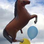 Sussy horse balloon