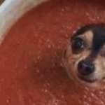 Dog sauce template