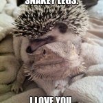 Lizard loves porcupine | I LOVE YOU, SNAKEY LEGS. I LOVE YOU, TOO, PRICK | image tagged in lizard loves porcupine | made w/ Imgflip meme maker