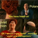 I wouldnit say freed | Poland; Soviet Union | image tagged in i wouldnit say freed,slavic,poland,soviet union | made w/ Imgflip meme maker
