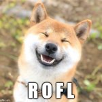 ROFL | R O F L | image tagged in shiba lol | made w/ Imgflip meme maker