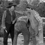 Three Stooges slapping compilation JPP GIF Template