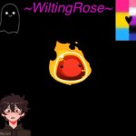 WiltingRose NEW NEW temp