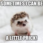 hedgehog  | SOMETIMES I CAN BE; A LITTLE PRICK! | image tagged in hedgehog | made w/ Imgflip meme maker