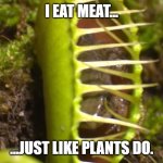 I eat meat | I EAT MEAT... ...JUST LIKE PLANTS DO. | image tagged in frog in a fly trap | made w/ Imgflip meme maker