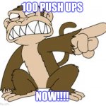 Angry Monkey Family Guy | 100 PUSH UPS; NOW!!!! | image tagged in angry monkey family guy | made w/ Imgflip meme maker
