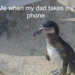Angry Penguin meme