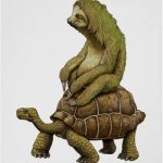 sloth on turtle