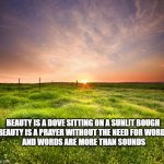 Beauty | BEAUTY IS A DOVE SITTING ON A SUNLIT BOUGH 
BEAUTY IS A PRAYER WITHOUT THE NEED FOR WORDS
AND WORDS ARE MORE THAN SOUNDS | image tagged in landscapemaymay | made w/ Imgflip meme maker