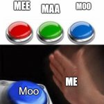 v | MAA; MEE; MOO; ME; Moo | image tagged in three buttons | made w/ Imgflip meme maker