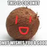 coconut | THIS IS COCONUT; COCONUT WISHES YOU A GOOD DAY | image tagged in coconut | made w/ Imgflip meme maker