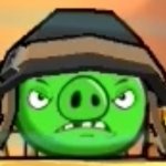 Corporal Pig Staring Angry