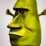 Shrek Moai