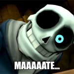 Sans Mate