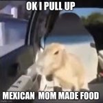 ok i pull up | OK I PULL UP; MEXICAN  MOM MADE FOOD | image tagged in ok i pull up capybara | made w/ Imgflip meme maker