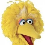 Big Bird Head