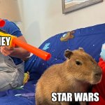 Capybara gun | DISNEY; STAR WARS | image tagged in capybara gun | made w/ Imgflip meme maker