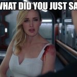 Captain Sara Lance | WHAT DID YOU JUST SAY | image tagged in captain sara lance | made w/ Imgflip meme maker
