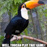 toucan | SOME FRIENDS BLOCKED ME FOR POSTING TOO MANY PUNS; MEMEs by Dan Campbell; WELL, TOUCAN PLAY THAT GAME ! | image tagged in toucan | made w/ Imgflip meme maker