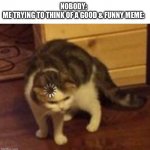 Thinking Cat Meme Generator - Imgflip