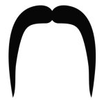 Chinese mustache