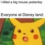 Sorry kids | I killed a big mouse yesterday Everyone at Disney land: | image tagged in memes,surprised pikachu | made w/ Imgflip meme maker