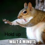 Hold Up Squirrel | WAIT A MINUTE | image tagged in hold up squirrel | made w/ Imgflip meme maker