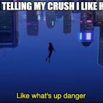i think she is intrested in me | ME TELLING MY CRUSH I LIKE HER | image tagged in what's up danger | made w/ Imgflip meme maker