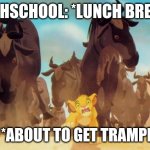 Simba | HIGHSCHOOL: *LUNCH BREAK*; ME: *ABOUT TO GET TRAMPLED* | image tagged in simba | made w/ Imgflip meme maker