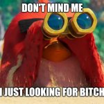 Underrated images | DON'T MIND ME; I'M JUST LOOKING FOR BITCHES | image tagged in red bird binoculars,angry birds | made w/ Imgflip meme maker