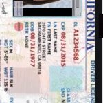 fake driver's license | image tagged in fake driver's license | made w/ Imgflip meme maker