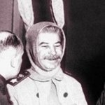 Stalin bunny
