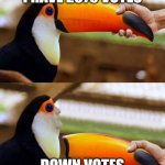 Why must you hurt me in this way | I HAVE 2375 VOTES; DOWN VOTES | image tagged in toucan beak | made w/ Imgflip meme maker