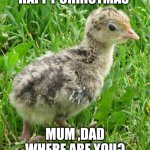 Can't find mum and dad | HAPPY CHRISTMAS; MUM ,DAD WHERE ARE YOU? | image tagged in lost turkey,roasted turkey,turkey,lost,christmas memes | made w/ Imgflip meme maker