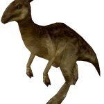 Parasaurolophus (FMM UV-32)