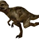 Pachycephalosaurus (FMM UV-32)
