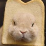 bread rabbit