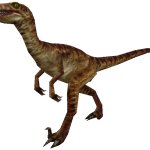 Velociraptor (FMM UV-32)