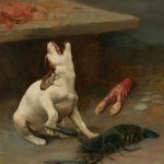Lobster pinches dog
