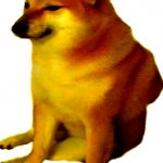 angry doge template