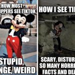 seriously though, some are like this one guy that says "not so fun facts you will regret watching" | HOW I SEE TIKTOK; HOW MOST IMGFLIPPERS SEE TIKTOK; STUPID, CRINGE, WEIRD; SCARY, DISTURBING, SO MANY HORRIFYING FACTS AND DEATHS | image tagged in basement mickey mouse,scary,tiktok,tik tok,help me,what i think | made w/ Imgflip meme maker