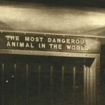 Dangerous Animal